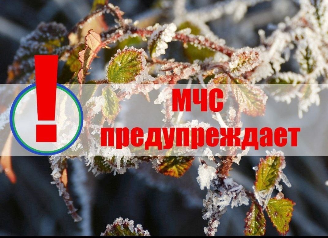 09-11 мая 2024 года в Кавказском районе ожидаются заморозки в воздухе и на поверхности почвы -0,1…-3º