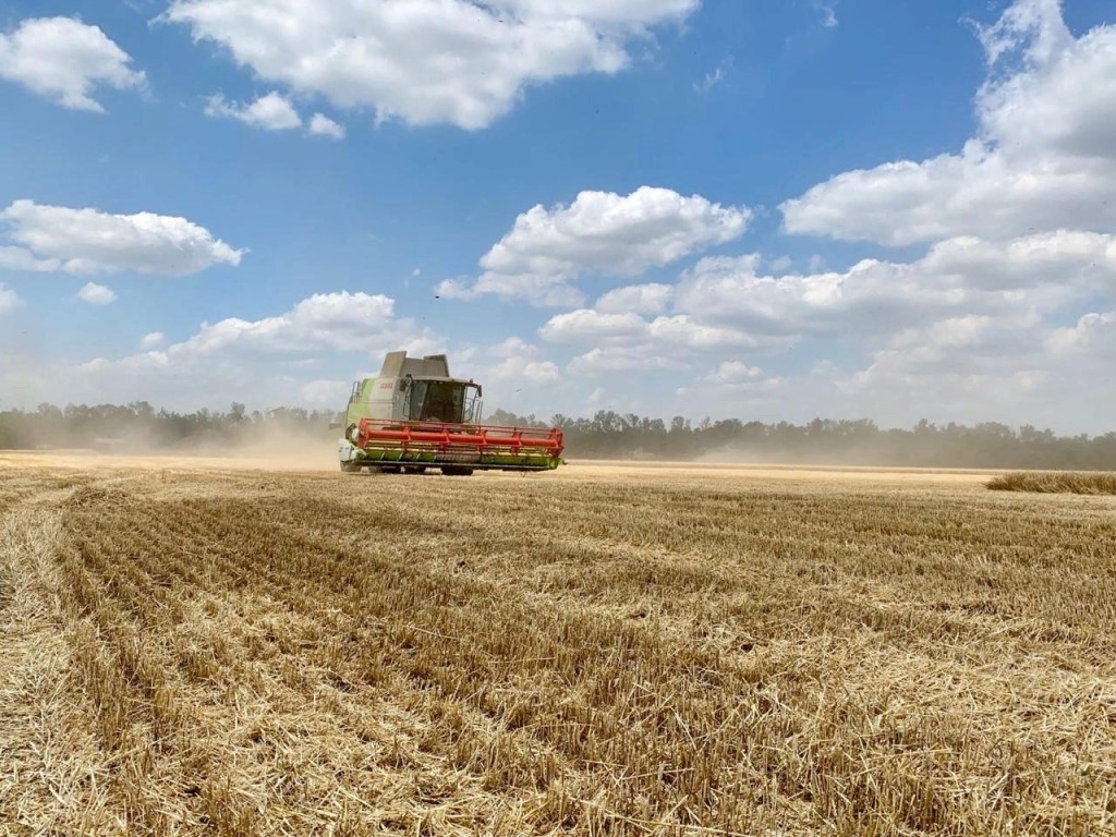 Сельхозпредприятия и КФХ закончили уборку озимой пшеницы с урожайностью 71.4цн с гектара