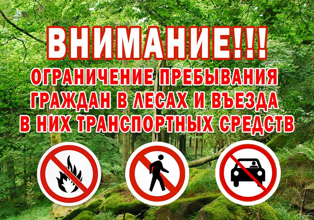 Введено ограничение пребывания граждан в лесах и въезда в них транспортных средств с 24 апреля по 14 мая 2024 года